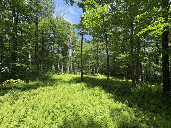 1.7 Acres of Land for Sale in Jay, Vermont