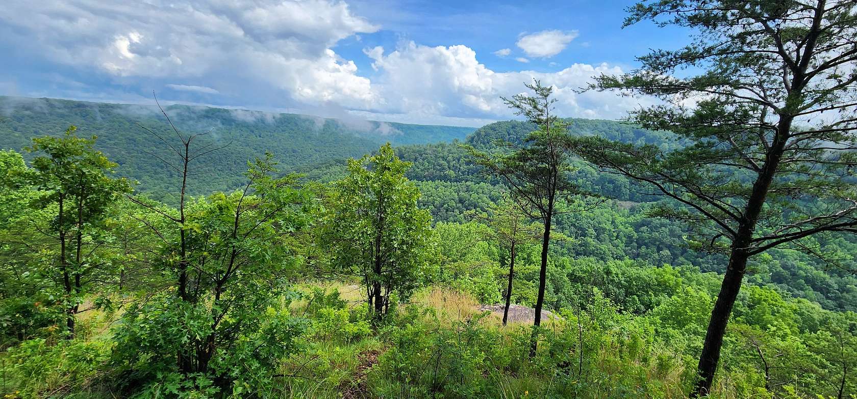 8 Acres of Residential Land for Sale in Monteagle, Tennessee