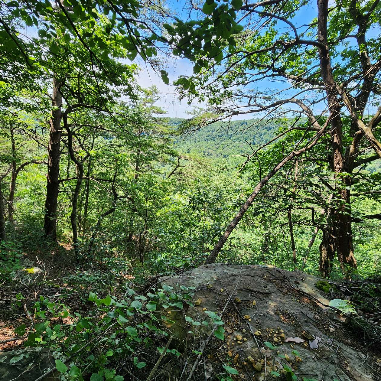 6.5 Acres of Residential Land for Sale in Monteagle, Tennessee