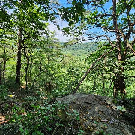 6.5 Acres of Residential Land for Sale in Monteagle, Tennessee
