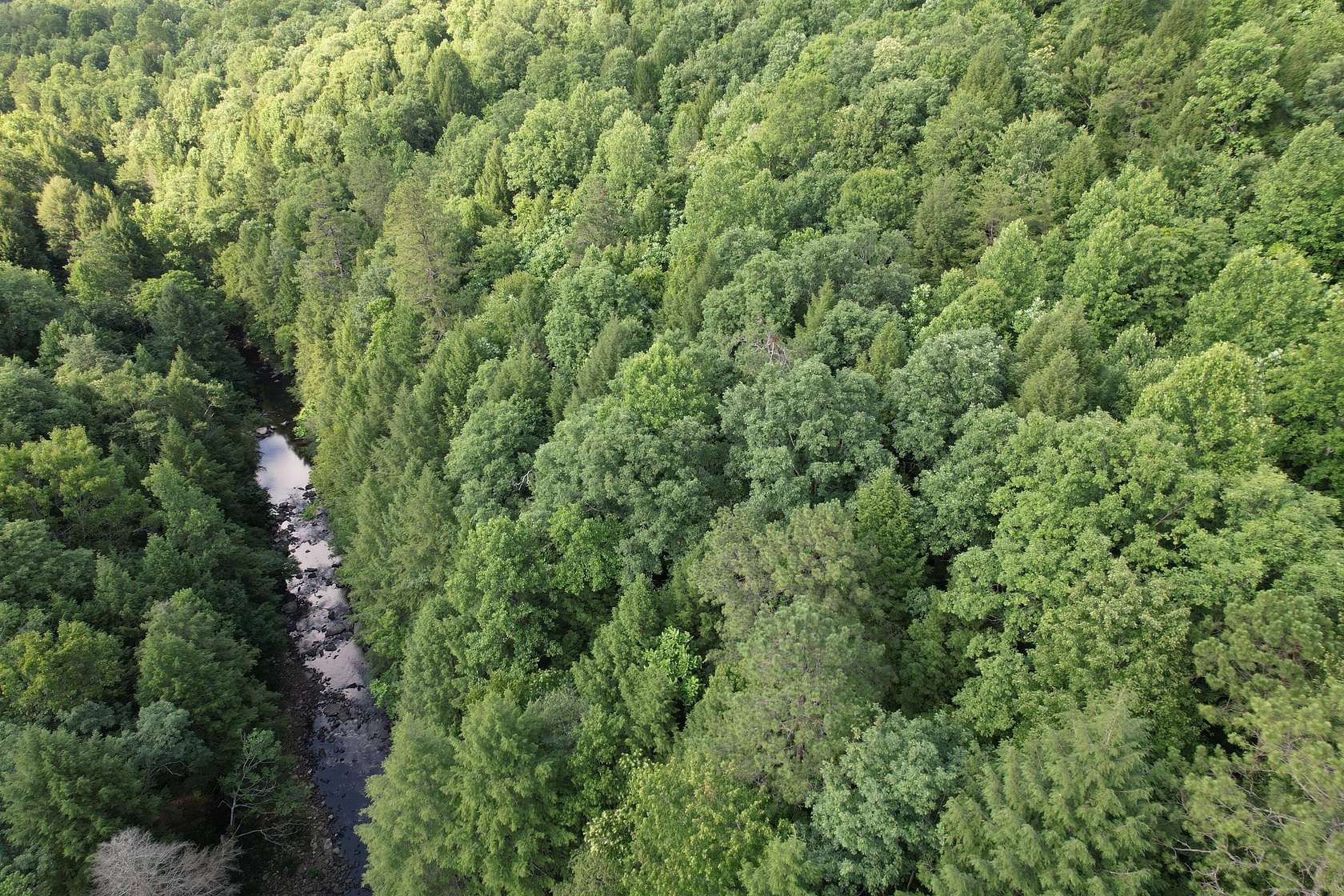 20 Acres of Recreational & Residential Land for Sale in Whitley City, Kentucky