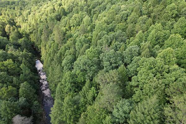 20 Acres of Recreational & Residential Land for Sale in Whitley City, Kentucky