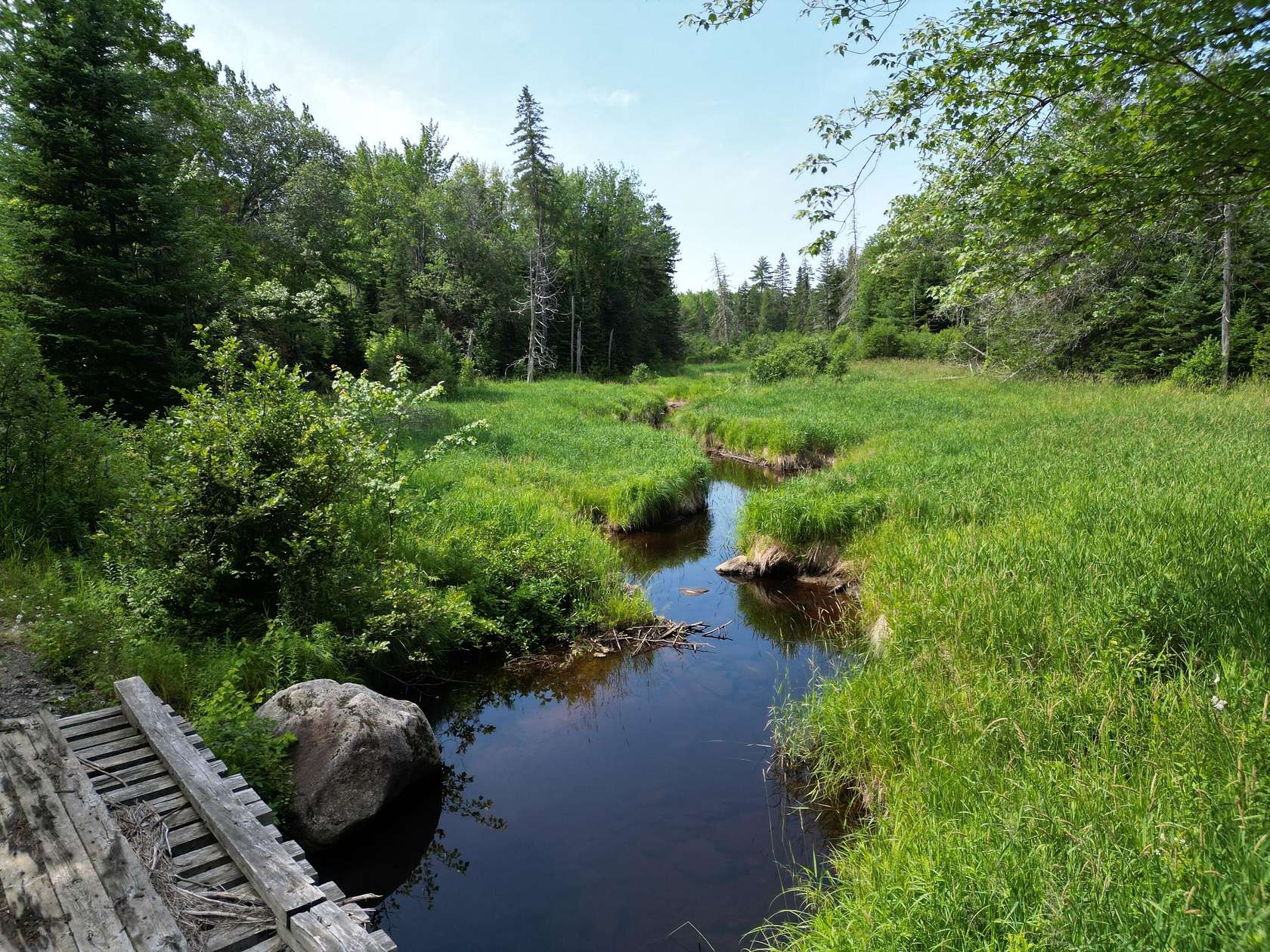 38 Acres of Recreational Land for Sale in Carroll Plantation, Maine