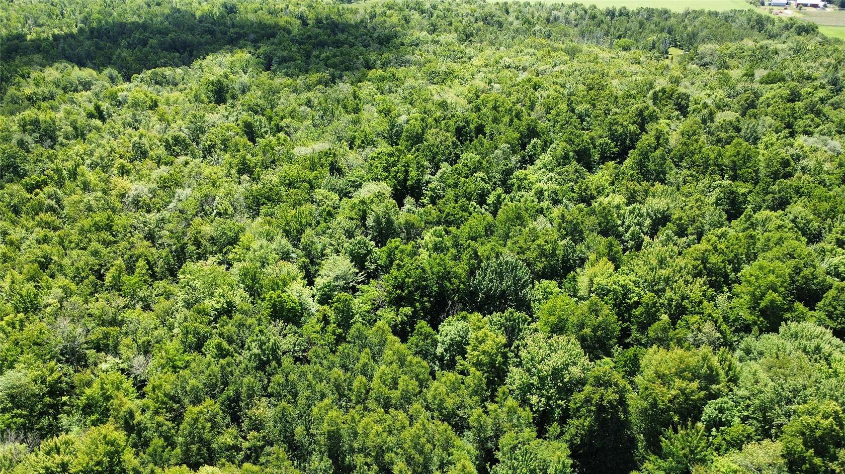 93.6 Acres of Land for Sale in Wausau Town, Wisconsin