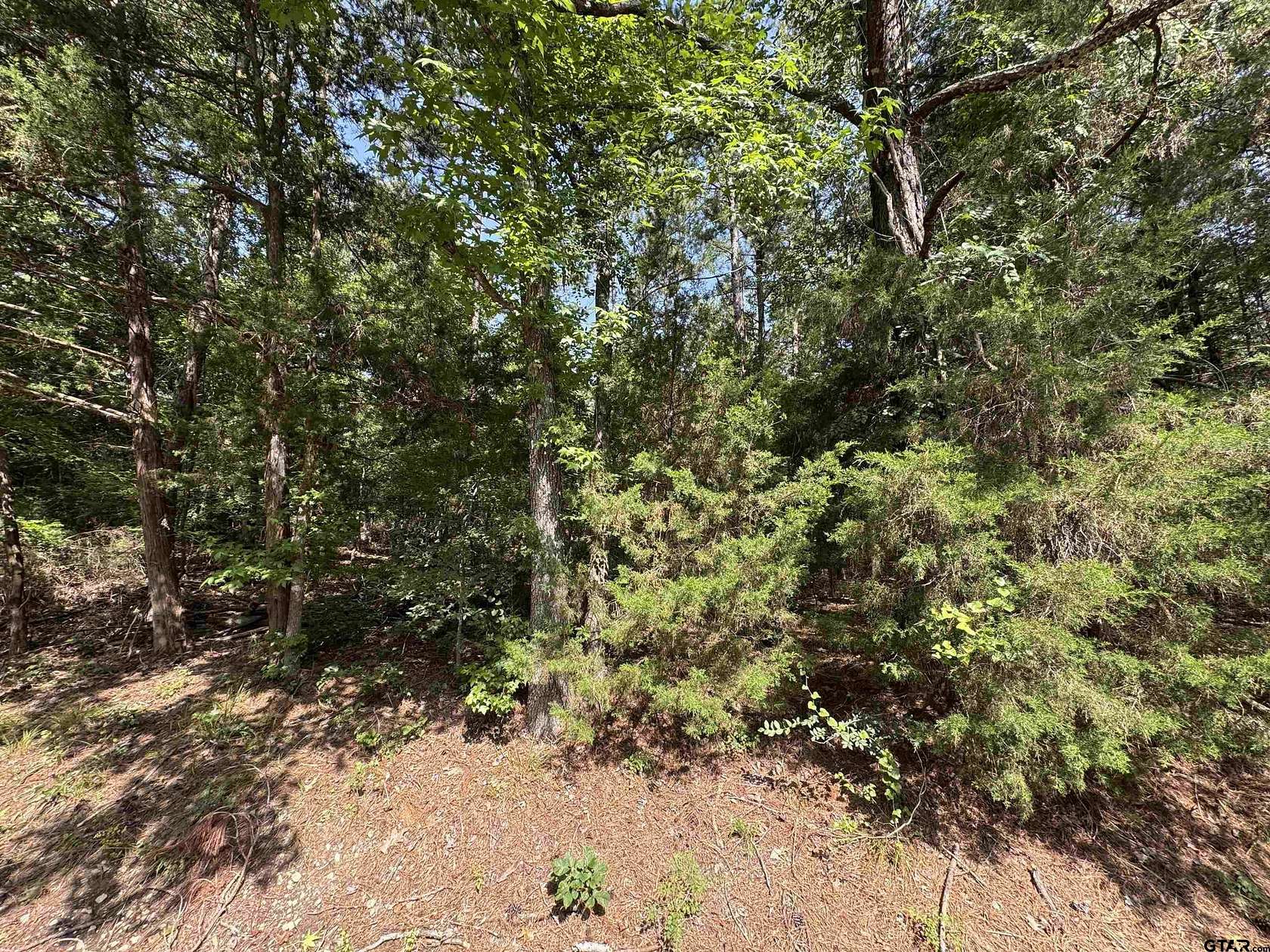 0.3 Acres of Residential Land for Sale in Mount Vernon, Texas