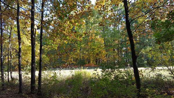 3.29 Acres of Residential Land for Sale in Chelsea, Michigan