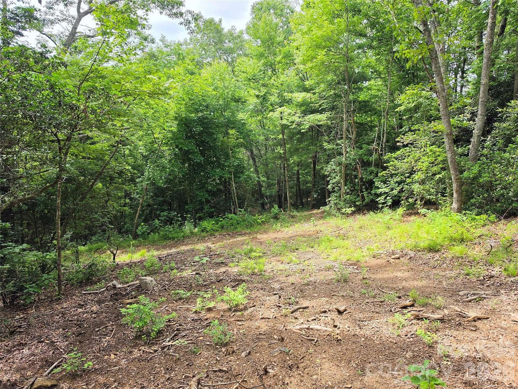 1.79 Acres of Residential Land for Sale in Fairview, North Carolina