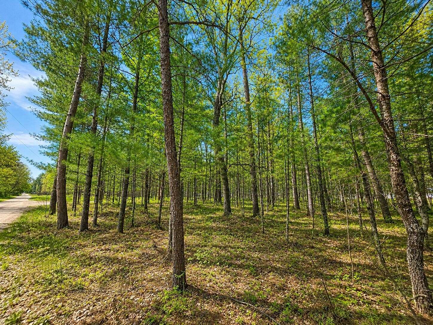 0.64 Acres of Residential Land for Sale in Grayling, Michigan