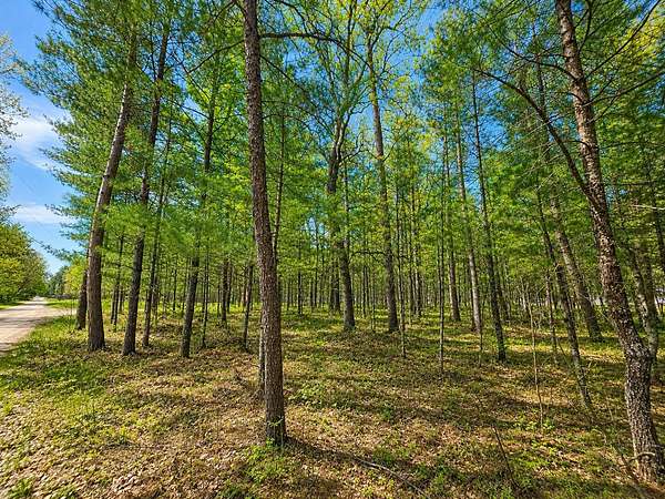 0.64 Acres of Residential Land for Sale in Grayling, Michigan