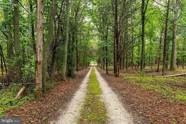8 Acres of Land with Home for Sale in Pittsgrove Township, New Jersey