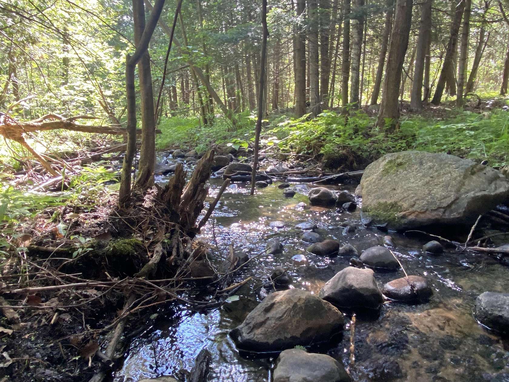 18 Acres of Recreational Land for Sale in Rose City, Michigan