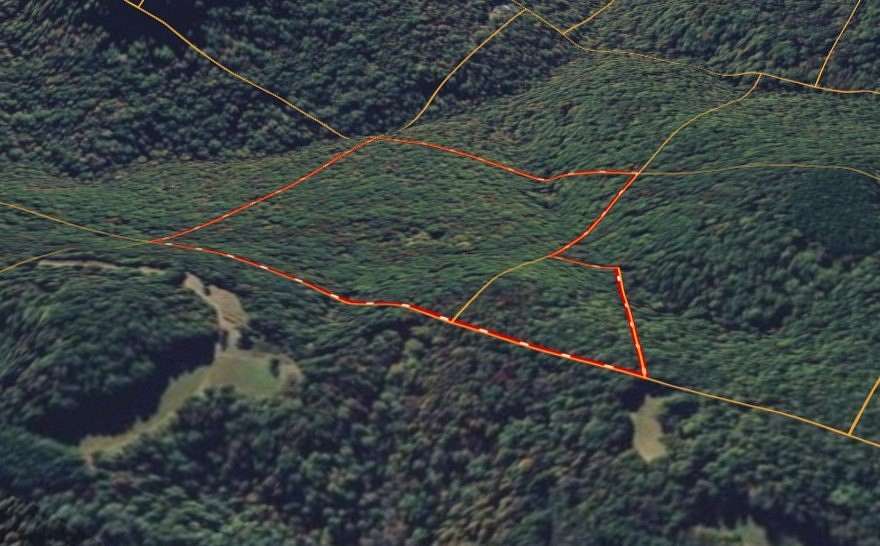 42.7 Acres of Land for Sale in Combs, Arkansas