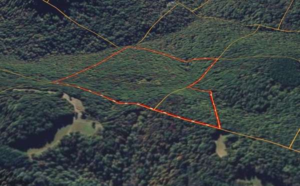 42.7 Acres of Land for Sale in Combs, Arkansas