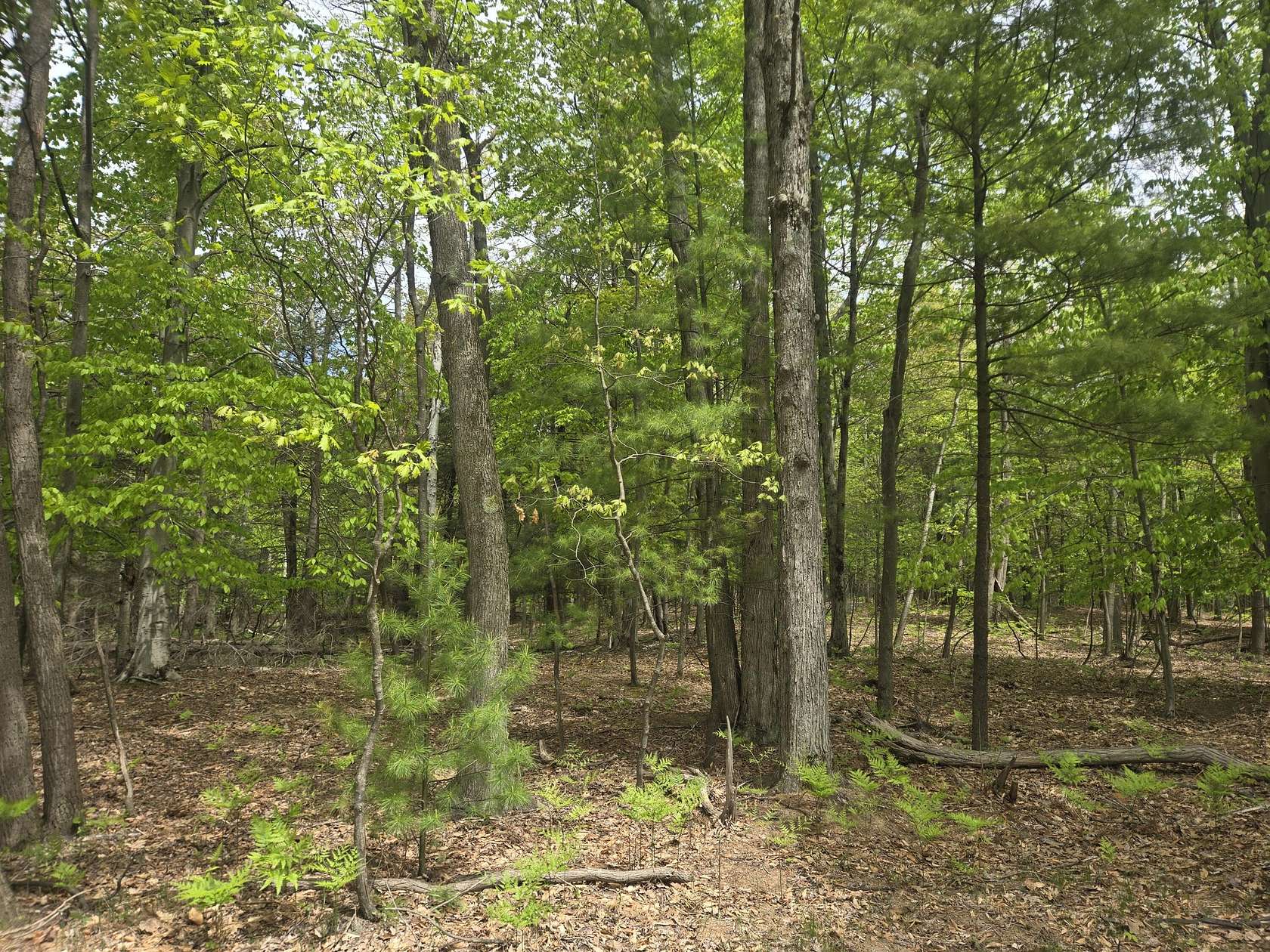 10 Acres of Residential Land for Sale in Mears, Michigan