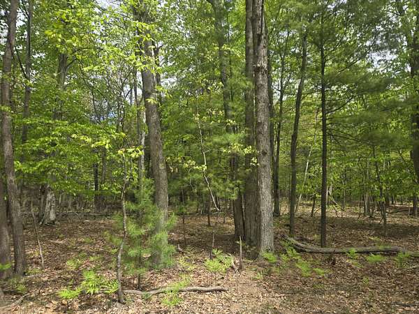 10 Acres of Residential Land for Sale in Mears, Michigan