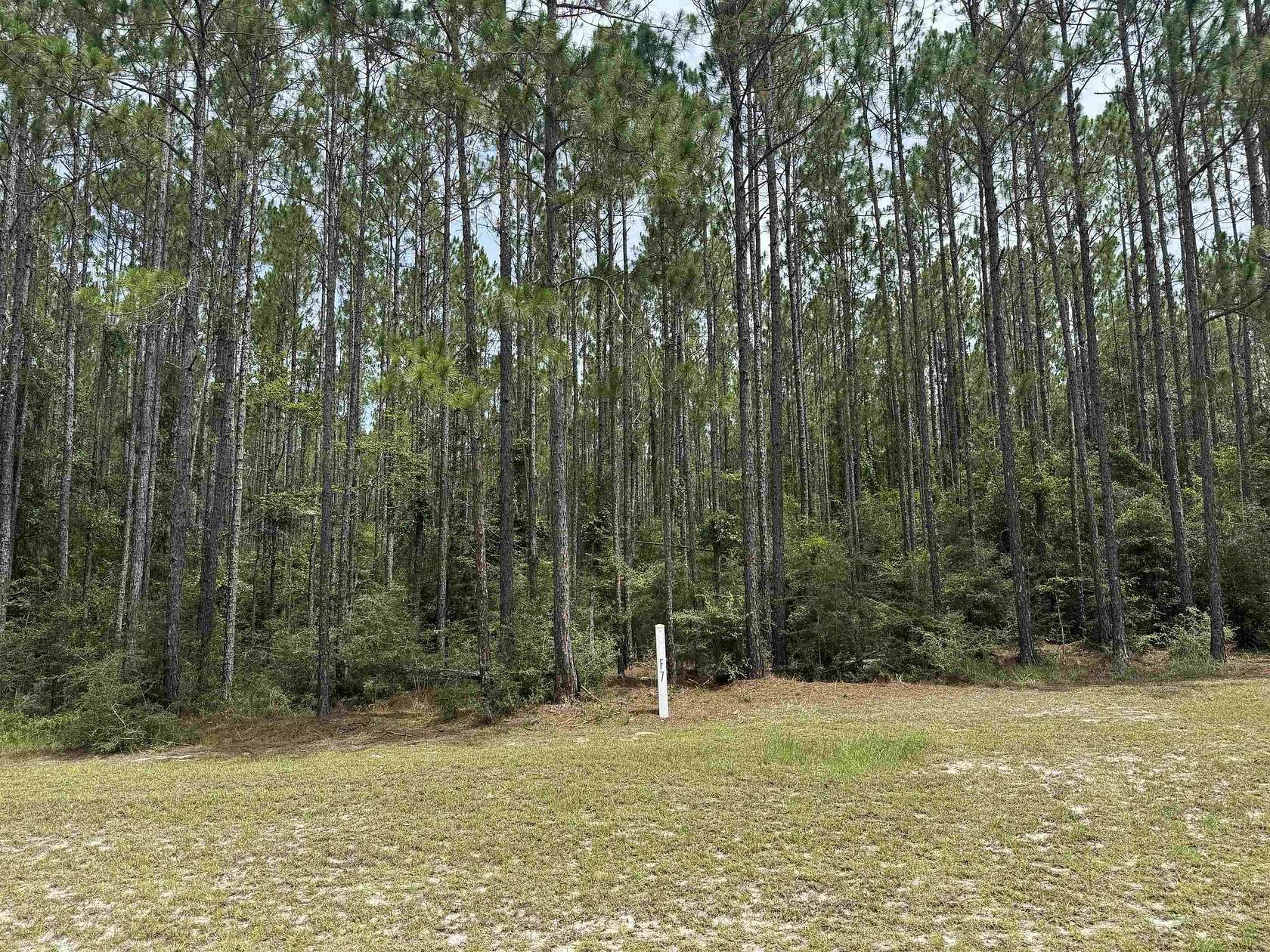 8 Acres of Land for Sale in Tallahassee, Florida