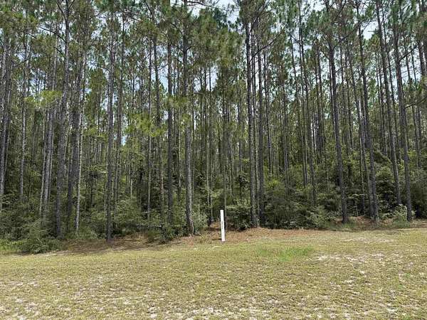 8 Acres of Land for Sale in Tallahassee, Florida
