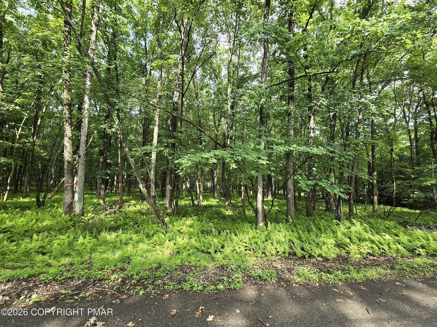 0.64 Acres of Residential Land for Sale in Albrightsville, Pennsylvania