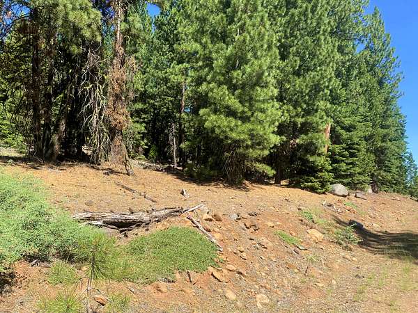 1 Acre of Residential Land for Sale in Alturas, California