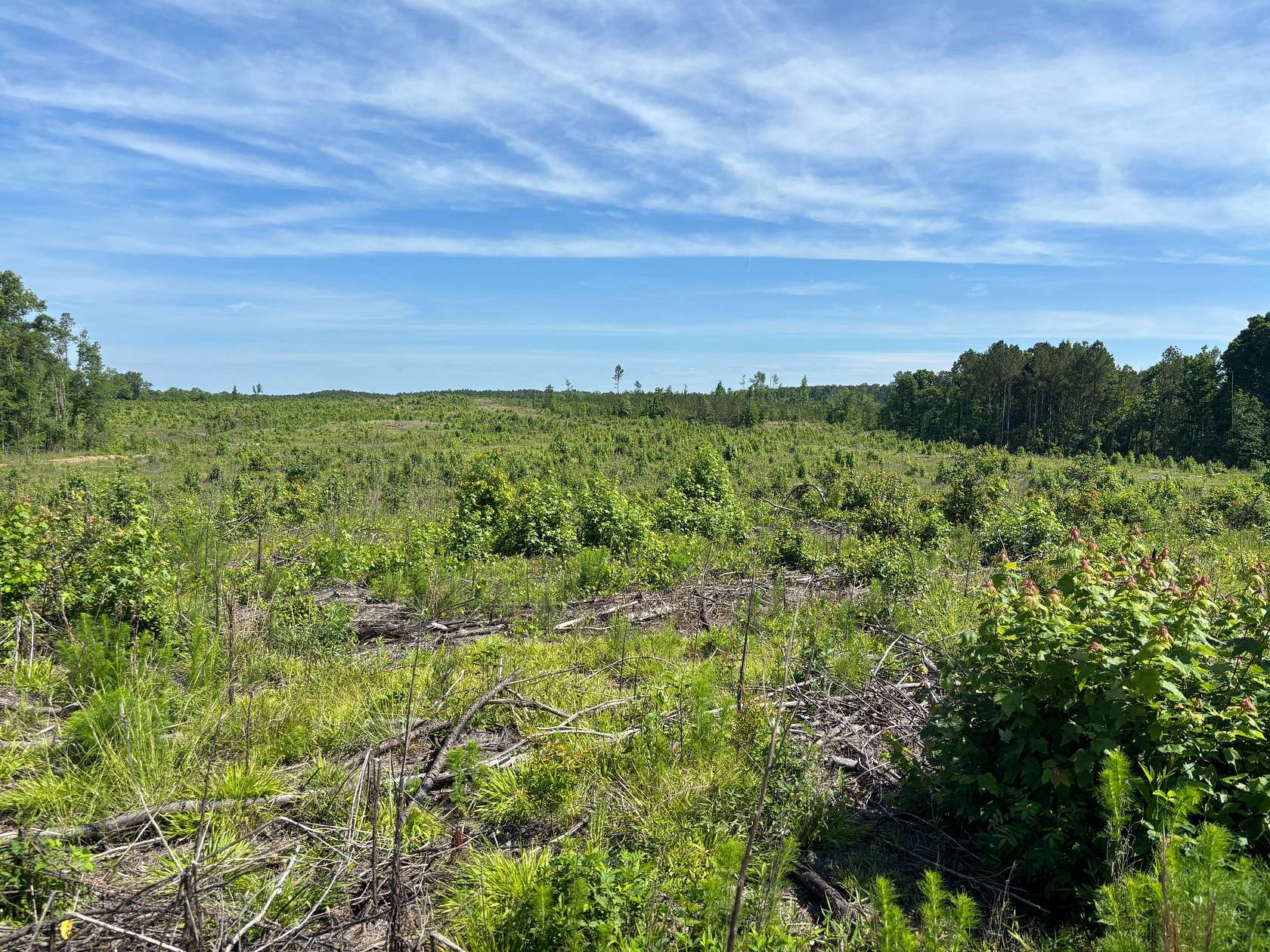 332 Acres of Recreational Land for Sale in Dekalb, South Carolina