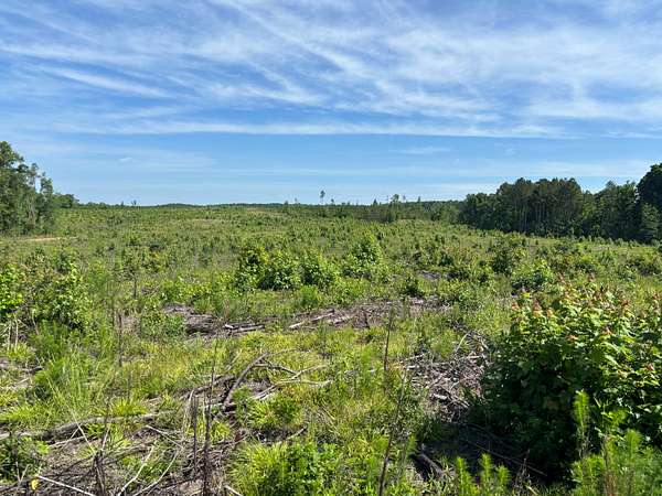 332 Acres of Recreational Land for Sale in Dekalb, South Carolina