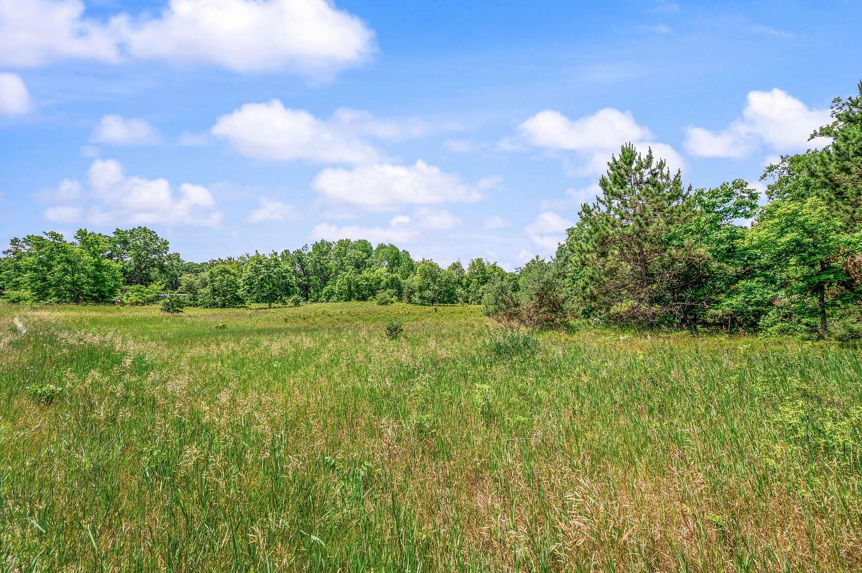 3.5 Acres of Land for Sale in Mecosta, Michigan