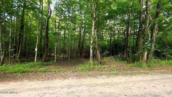 7.22 Acres of Residential Land for Sale in Forsyth, Georgia