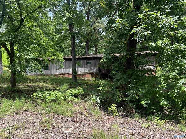 Land for Sale in Southside, Alabama
