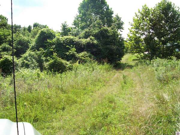 28 Acres of Land for Sale in Clinton, Kentucky
