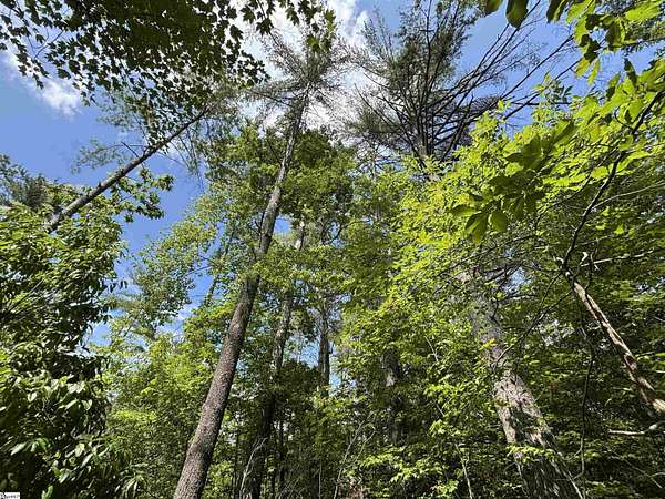 4.58 Acres of Residential Land for Sale in Sunset, South Carolina