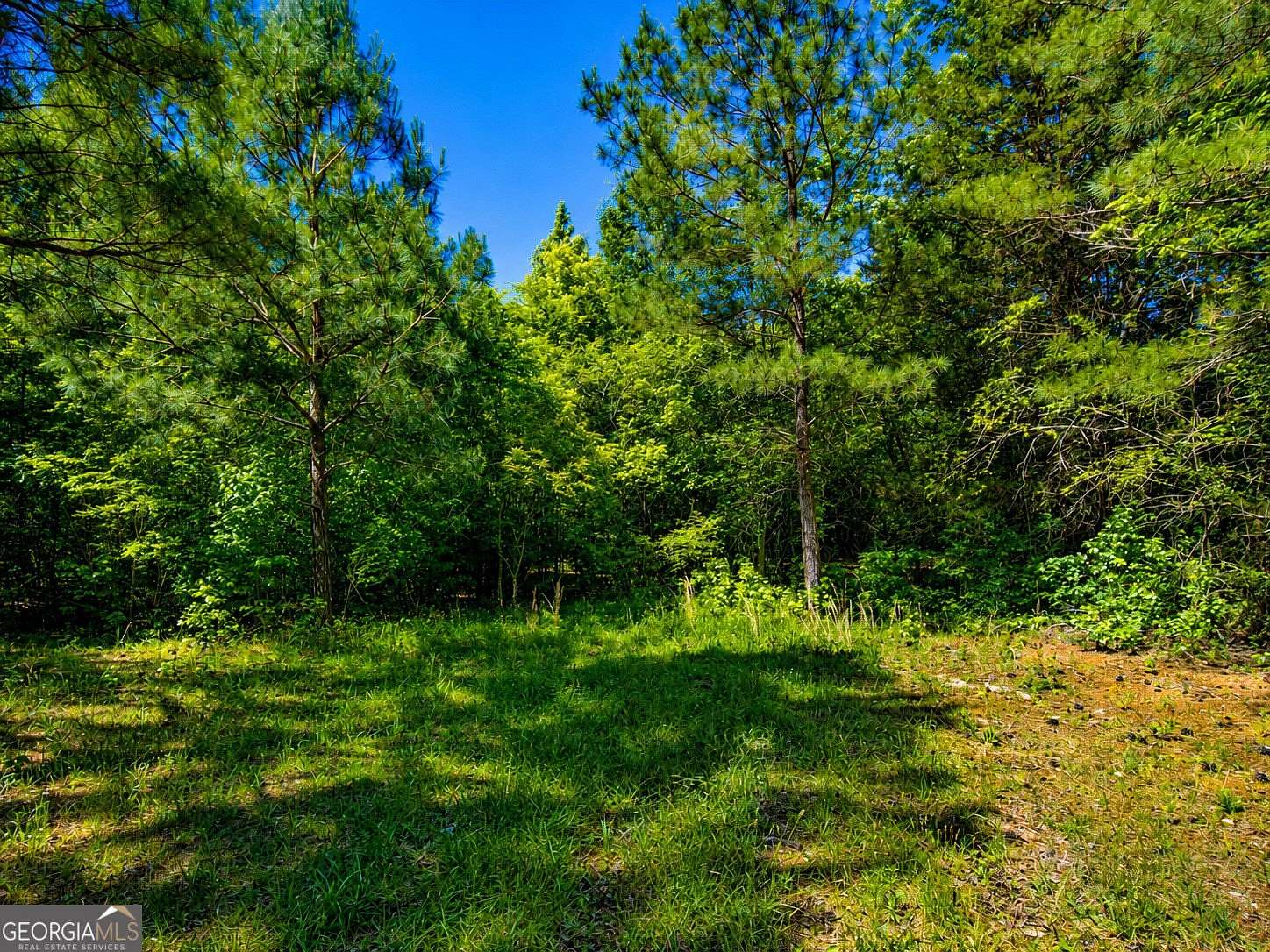 1 Acre of Land for Sale in LaFayette, Georgia