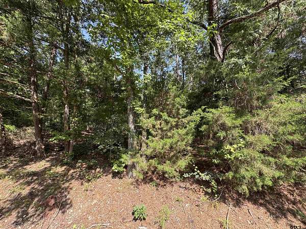 0.3 Acres of Residential Land for Sale in Mount Vernon, Texas