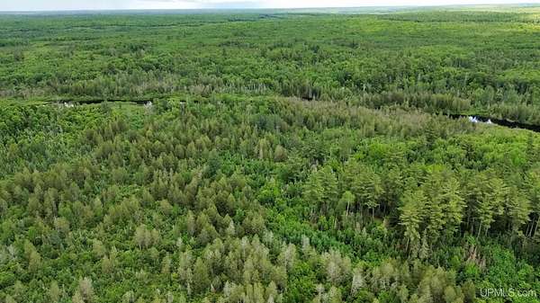 40 Acres of Recreational Land for Sale in Amasa, Michigan
