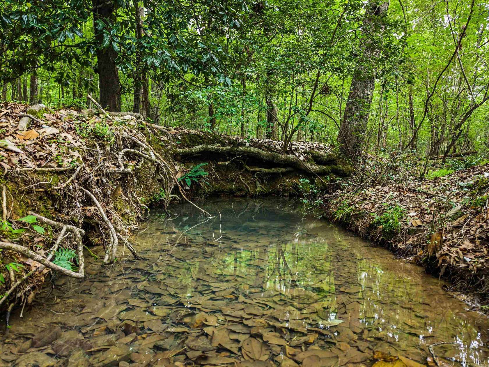 11.2 Acres of Recreational & Residential Land for Sale in Hot Springs, Arkansas