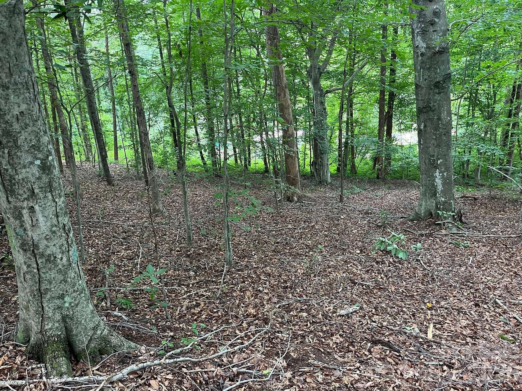 12.7 Acres of Land for Sale in Nebo, North Carolina