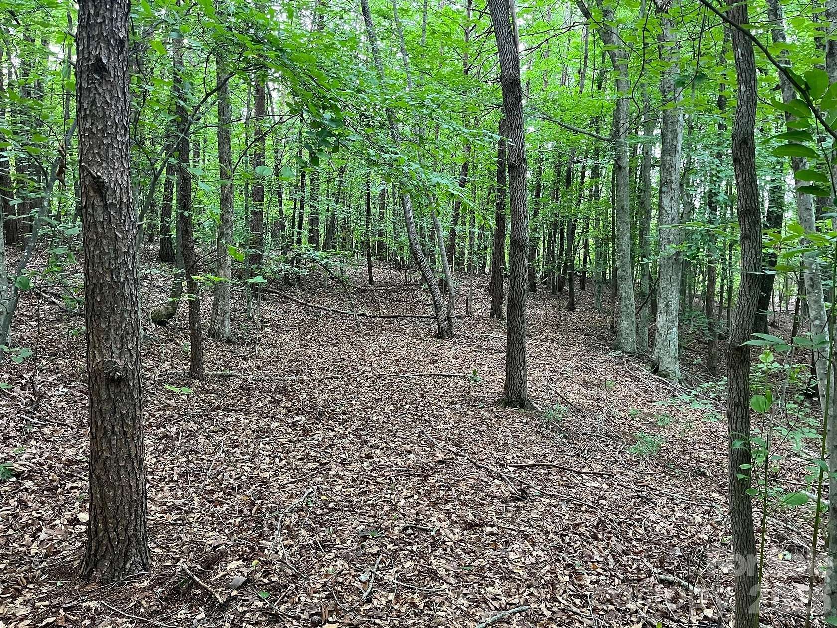 12.7 Acres of Land for Sale in Nebo, North Carolina