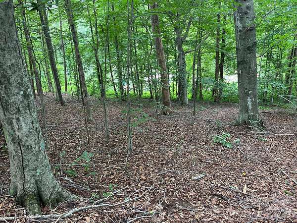 12.7 Acres of Land for Sale in Nebo, North Carolina