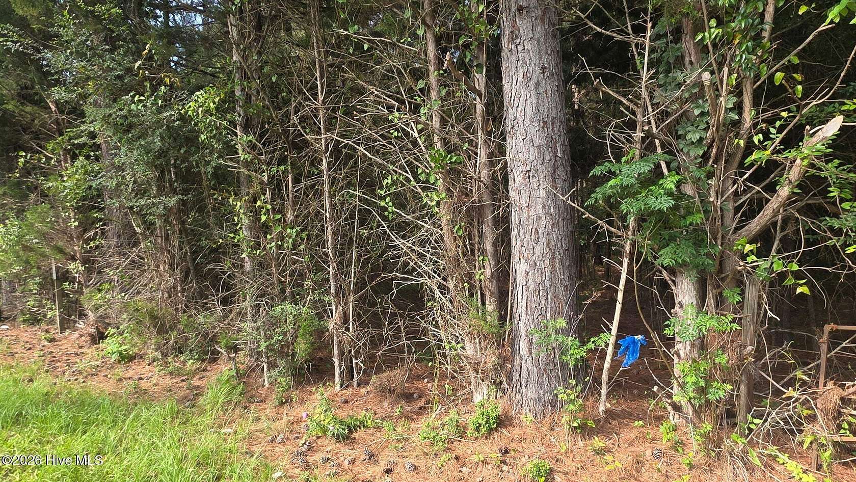 2.68 Acres of Residential Land for Sale in Appling, Georgia
