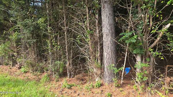 2.68 Acres of Residential Land for Sale in Appling, Georgia