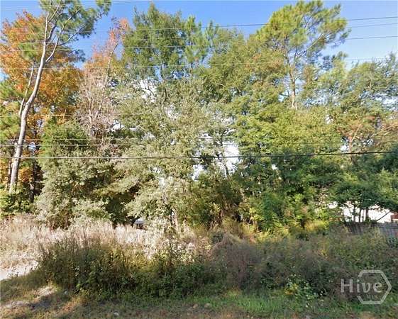 0.17 Acres of Residential Land for Sale in Savannah, Georgia