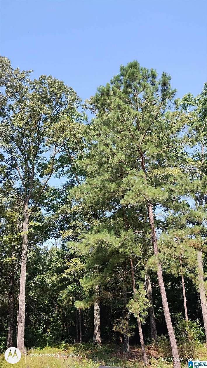 4 Acres of Residential Land for Sale in McCalla, Alabama