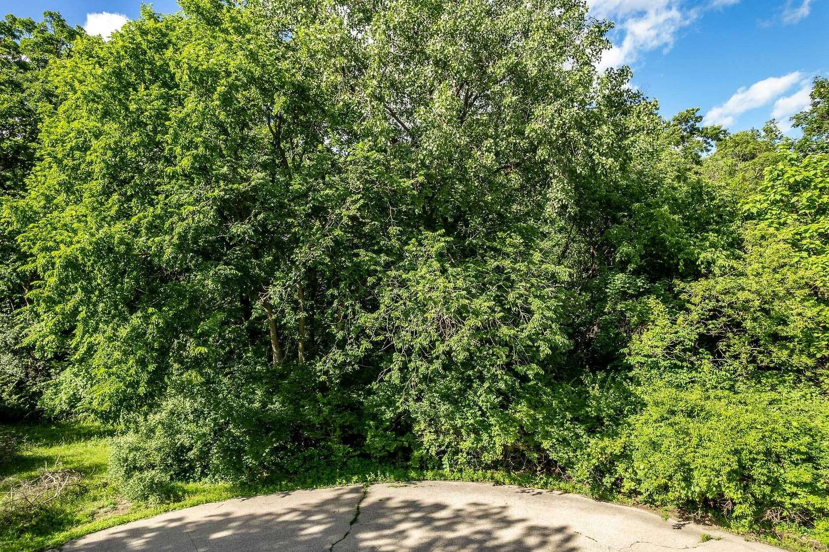 0.39 Acres of Residential Land for Sale in Poplar Grove, Illinois