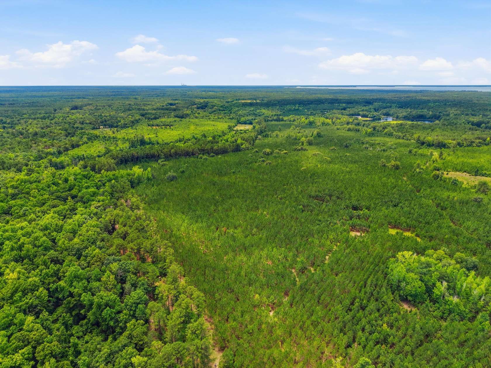 28.1 Acres of Recreational Land for Sale in Manning, South Carolina