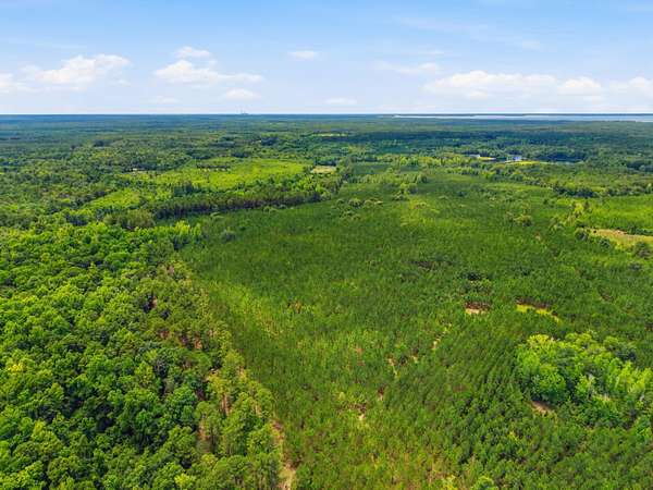 28.1 Acres of Recreational & Residential Land for Sale in Manning, South Carolina