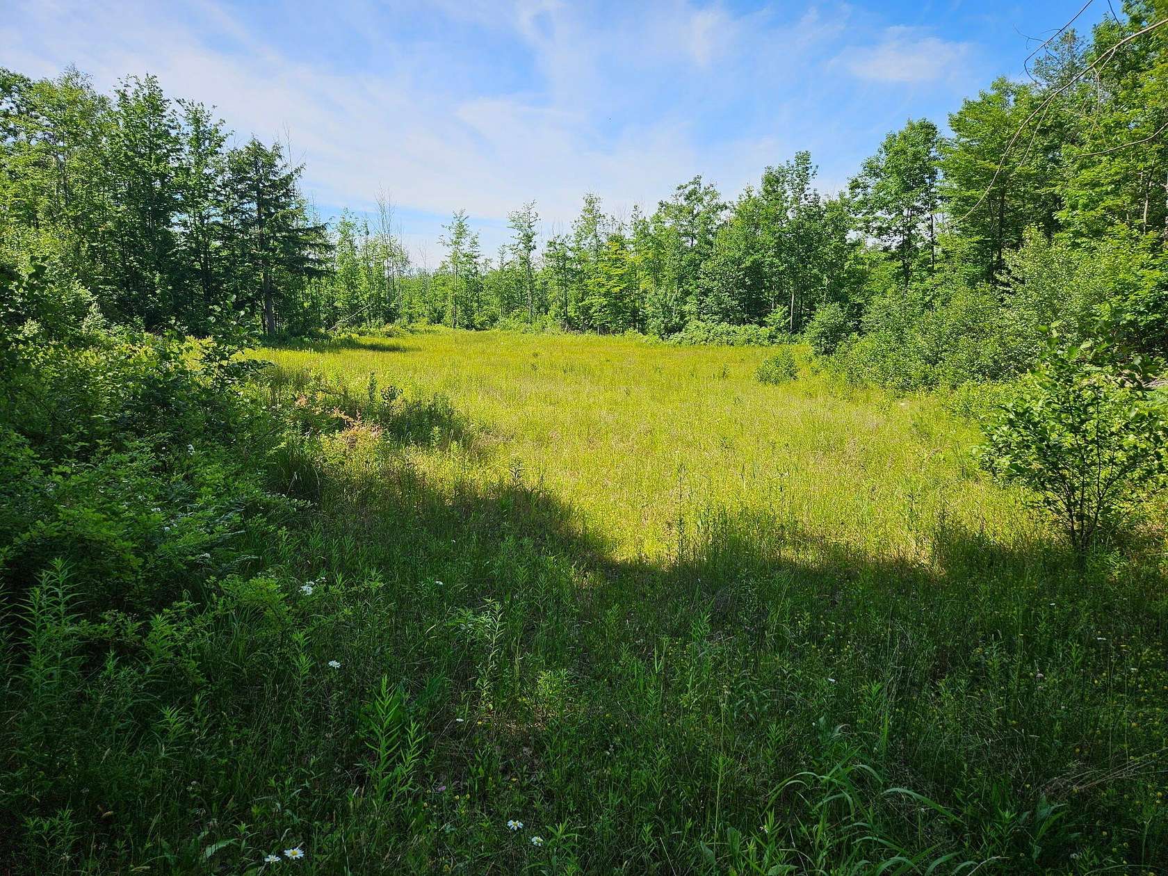 66 Acres of Recreational & Residential Land for Sale in Harrison, Maine