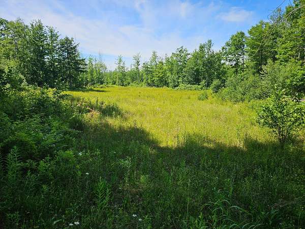 66 Acres of Recreational & Residential Land for Sale in Harrison, Maine