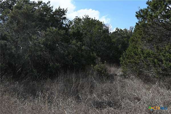 0.3 Acres of Residential Land for Sale in Spring Branch, Texas