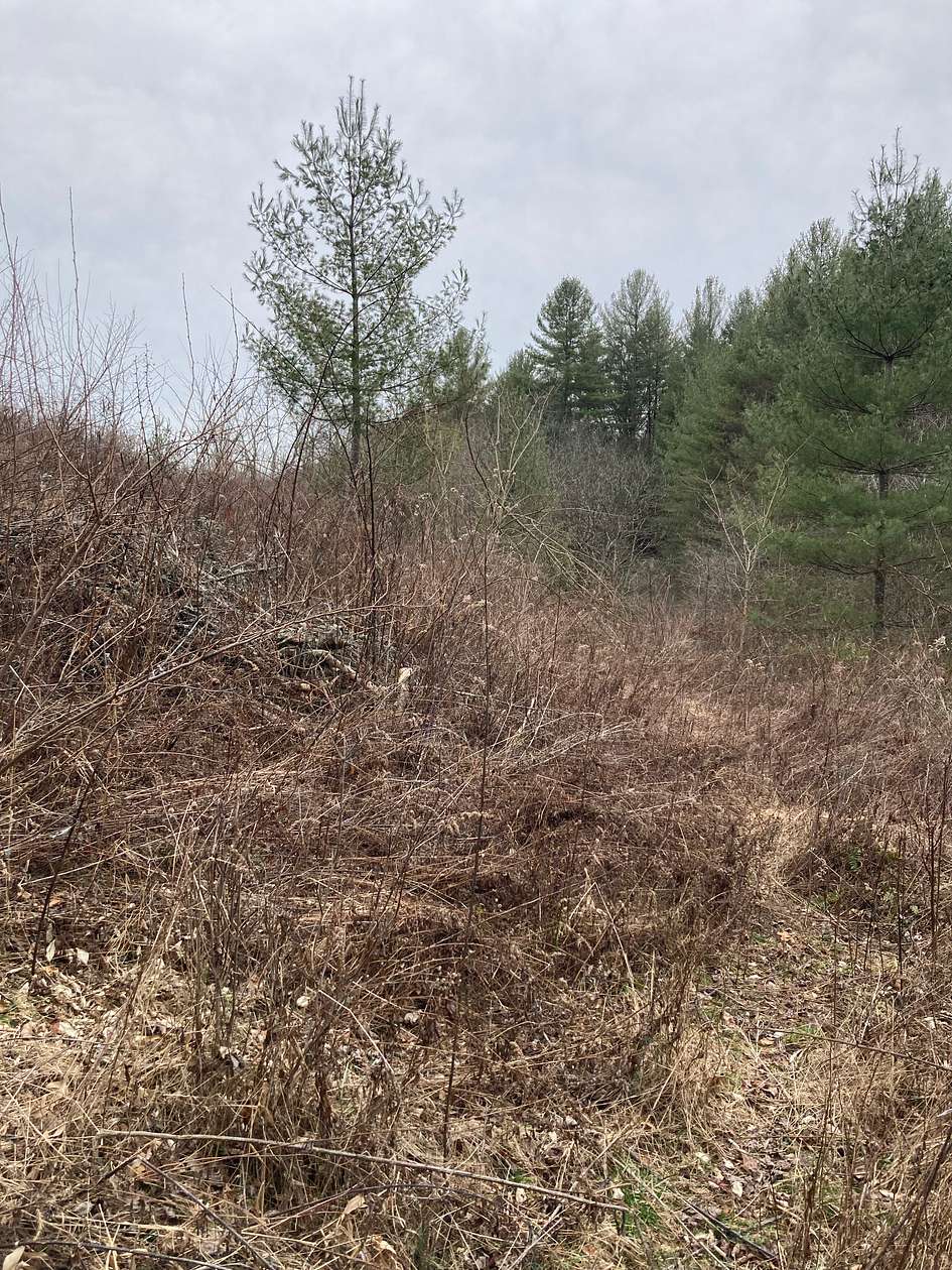 1.43 Acres of Residential Land for Sale in Grassy Creek, North Carolina