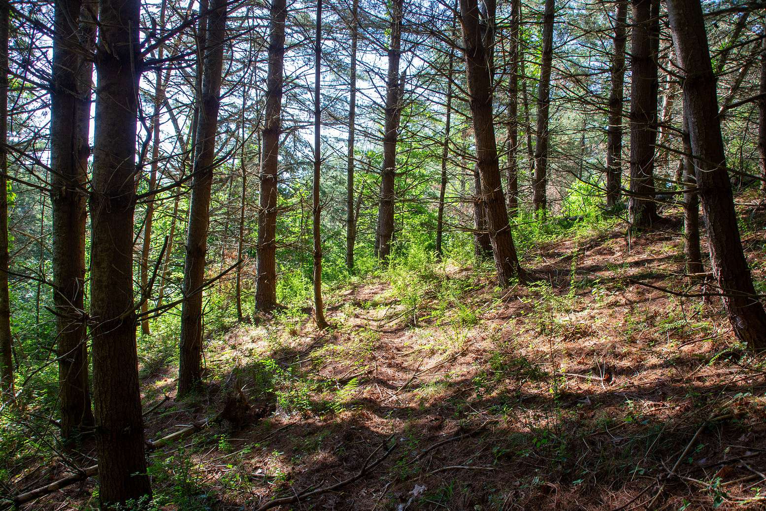 1.43 Acres of Residential Land for Sale in Grassy Creek, North Carolina