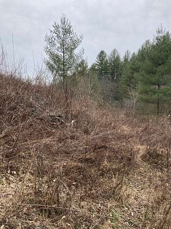 1.43 Acres of Residential Land for Sale in Grassy Creek, North Carolina